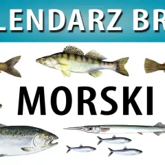 Kalendarz połowów ryb - najlepsze terminy na skuteczne wędkowanie