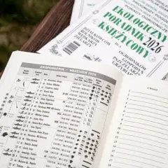 Kalendarz brań – jak przewidzieć najlepsze dni na wędkowanie