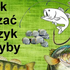 Jak założyć haczyk na wędkę - unikaj najczęstszych błędów wędkarskich