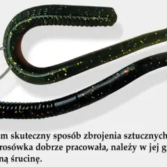 Jak założyć dżdżownice na haczyk, aby zwiększyć szanse na ryby