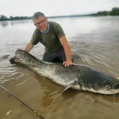 Wędkarz z ogromnym sumem na brzegu. Pokazuje, co na suma z brzegu jak wywieźć zestaw bez łódki.