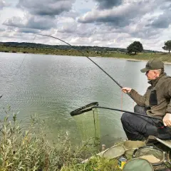 Wędkarz łowi na tyczkę z amortyzatorem. Dobór grubości gumy do wielkości ryb jest kluczowy dla sukcesu.