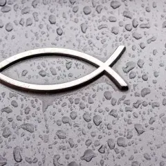 Co oznacza ryba na samochodzie? Zaskakujące znaczenie symbolu