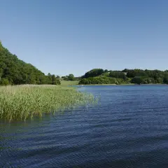 Jezioro Stężyca - piękne miejsce na relaks i aktywności na wodzie