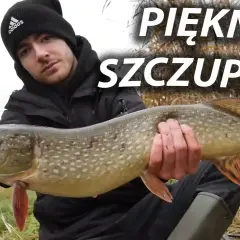 Łowisko szczupakowo: najlepsze miejsca na szczupaki w Polsce