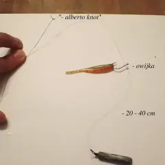 Metoda drop shot na rzece: jak utrzymać ciężarek w miejscu podczas brań. Zobacz, jak zawiązać "alberto knot" i jak zamontować przynętę.