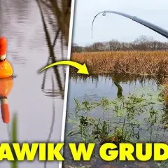 Jak łowić na spławik w jeziorze: sprawdzone techniki i porady