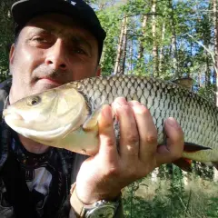 Wędkarz prezentuje złowionego klenia. Pokazuje, jak prowadzić smużaki w nurcie rzeki, by skutecznie łowić te ryby.