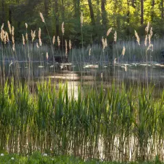 Jezioro Ciemino: piękne miejsce na wędkowanie i relaks w naturze