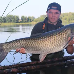 Jak szybko rośnie amur? Odkryj zaskakujące tempo wzrostu tej ryby