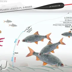 Jaki spławik wybrać do metody bolońskiej na dużej rzece? Ilustracja pokazuje zestaw: spławik, żyłkę 0,14mm, haczyk nr 4 z przynętą.