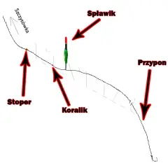 Jak założyć świetlik na spławik - proste metody, które działają