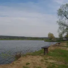 łowisko u Macieja - idealne miejsce na wędkarskie przygody w Mosinie