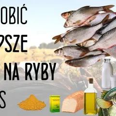 Domowe przynęty na ryby – proste przepisy, które zwiększą Twoje połowy