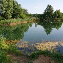 Krobielowice łowisko – idealne miejsce na udane wędkowanie i relaks
