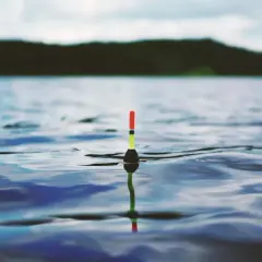Spławik na wodzie, wskazujący dlaczego spławik kładzie się na wodzie i najczęstsze błędy w wyważaniu.