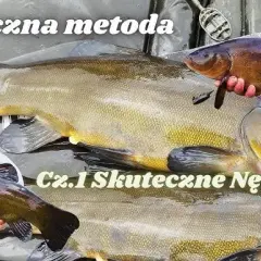 Najskuteczniejsze zanęty na lina: sekrety, które musisz znać