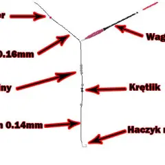 Jak założyć spławik przelotowy i uniknąć najczęstszych błędów
