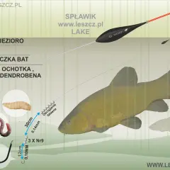 Łowienie na przystawkę ze spławikiem zapomniana metoda na liny w trzcinach. Zestaw: bat, ochotka, caster, dendrobena, haczyk.