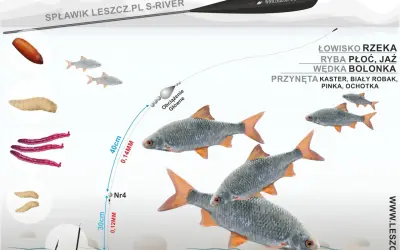 Jaki spławik wybrać do metody bolońskiej na dużej rzece? Ilustracja pokazuje zestaw: spławik, żyłkę 0,14mm, haczyk nr 4 z przynętą.