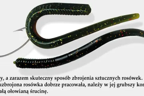 Jak założyć dżdżownice na haczyk, aby zwiększyć szanse na ryby