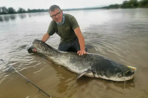 Wędkarz z ogromnym sumem na brzegu. Pokazuje, co na suma z brzegu jak wywieźć zestaw bez łódki.