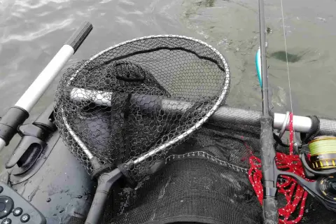 Łowienie na muchę z belly boat. Bezpieczne rzucanie sznurem z wody wymaga wprawy. Widoczny podbierak, wędka i kołowrotek.
