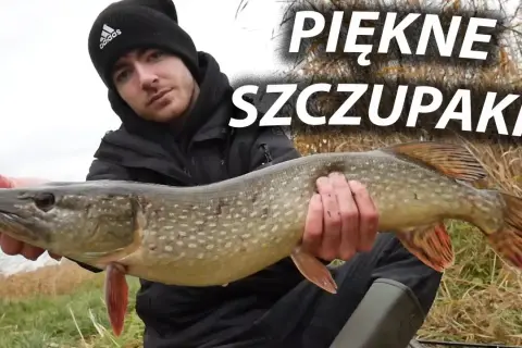 Łowisko szczupakowo: najlepsze miejsca na szczupaki w Polsce