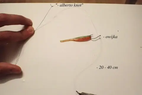 Metoda drop shot na rzece: jak utrzymać ciężarek w miejscu podczas brań. Zobacz, jak zawiązać "alberto knot" i jak zamontować przynętę.