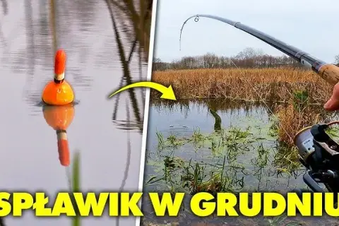 Jak łowić na spławik w jeziorze: sprawdzone techniki i porady