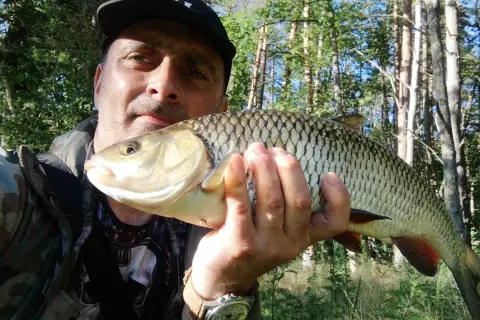 Wędkarz prezentuje złowionego klenia. Pokazuje, jak prowadzić smużaki w nurcie rzeki, by skutecznie łowić te ryby.