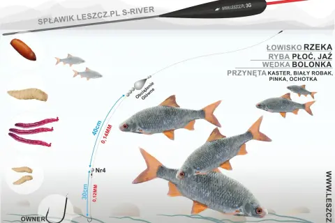 Jaki spławik wybrać do metody bolońskiej na dużej rzece? Ilustracja pokazuje zestaw: spławik, żyłkę 0,14mm, haczyk nr 4 z przynętą.