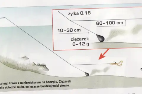 Łowienie na boczny trok: długość przyponu 10-30 cm, żyłka 0,18, ciężarek 6-12 g. Wzbijanie mułu wabi okonie.