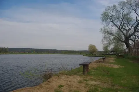 łowisko u Macieja - idealne miejsce na wędkarskie przygody w Mosinie