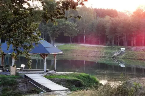 Łowisko Felinów – idealne miejsce na wędkowanie i relaks w naturze