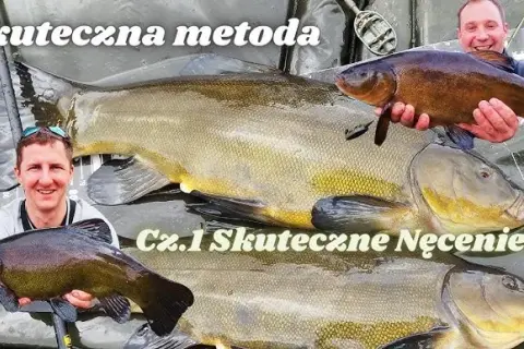Najskuteczniejsze zanęty na lina: sekrety, które musisz znać