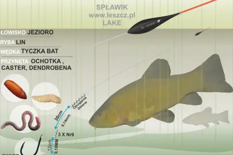 Łowienie na przystawkę ze spławikiem zapomniana metoda na liny w trzcinach. Zestaw: bat, ochotka, caster, dendrobena, haczyk.