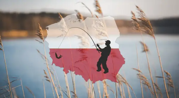 Sylwetka wędkarza łowiącego rybę na tle mapy Polski z flagą.