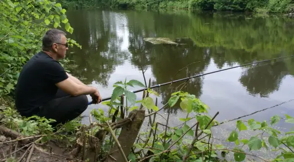 Gdzie można łowić ryby bez karty wędkarskiej w lubelskim? Sprawdź te miejsca