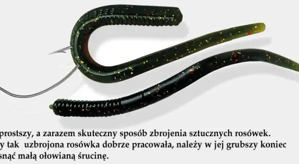 Jak założyć dżdżownice na haczyk, aby zwiększyć szanse na ryby