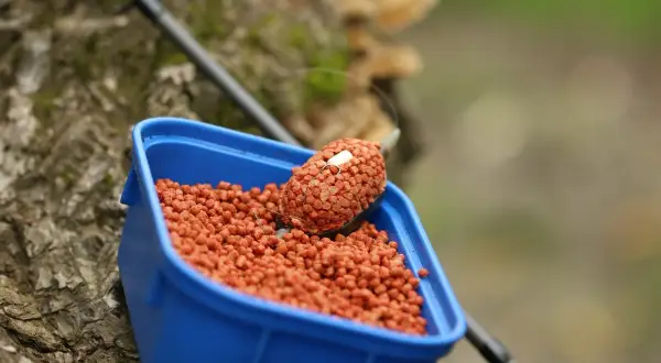 Jak przygotować mikro pellet do method feeder, by nie rozpadał się w wodzie? Widać tu gotowy do użycia koszyczek z przynętą.