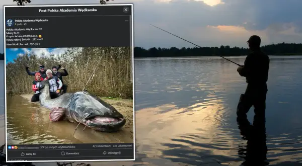 Rekord świata suma – 292 cm i niezwykłe okoliczności złowienia