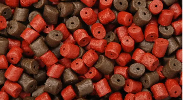 Pellet morwa na jakie ryby - skuteczne łowienie karpi i amurów