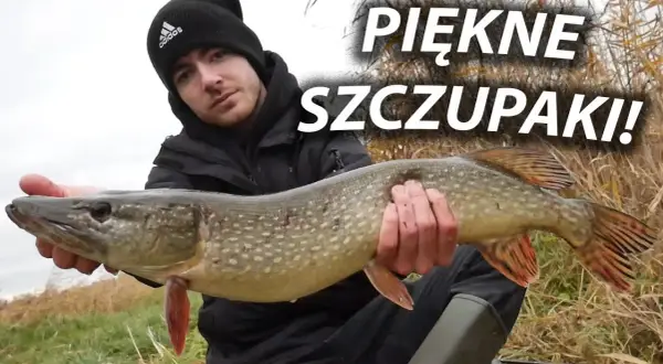 Łowisko szczupakowo: najlepsze miejsca na szczupaki w Polsce