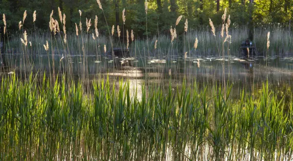 Jezioro Ciemino: piękne miejsce na wędkowanie i relaks w naturze