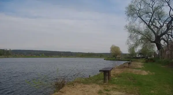 łowisko u Macieja - idealne miejsce na wędkarskie przygody w Mosinie