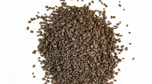 Zanęty Pan Ryba – skuteczne baits, które zwiększą Twoje połowy