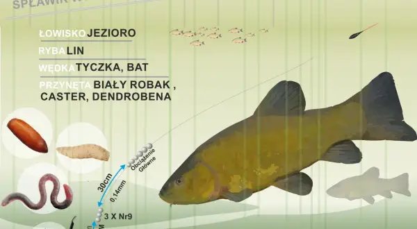 Najlepszy spławik na lina w zarośniętym jeziorze. Zestaw z białym robakiem, casterem i dendrobeną.