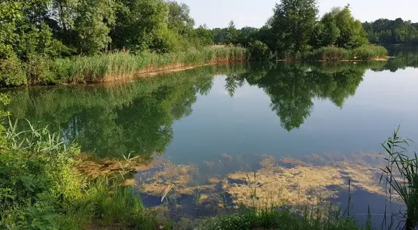 Krobielowice łowisko – idealne miejsce na udane wędkowanie i relaks