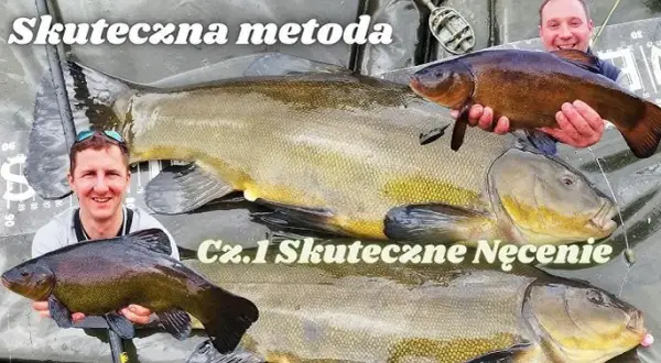 Najskuteczniejsze zanęty na lina: sekrety, które musisz znać